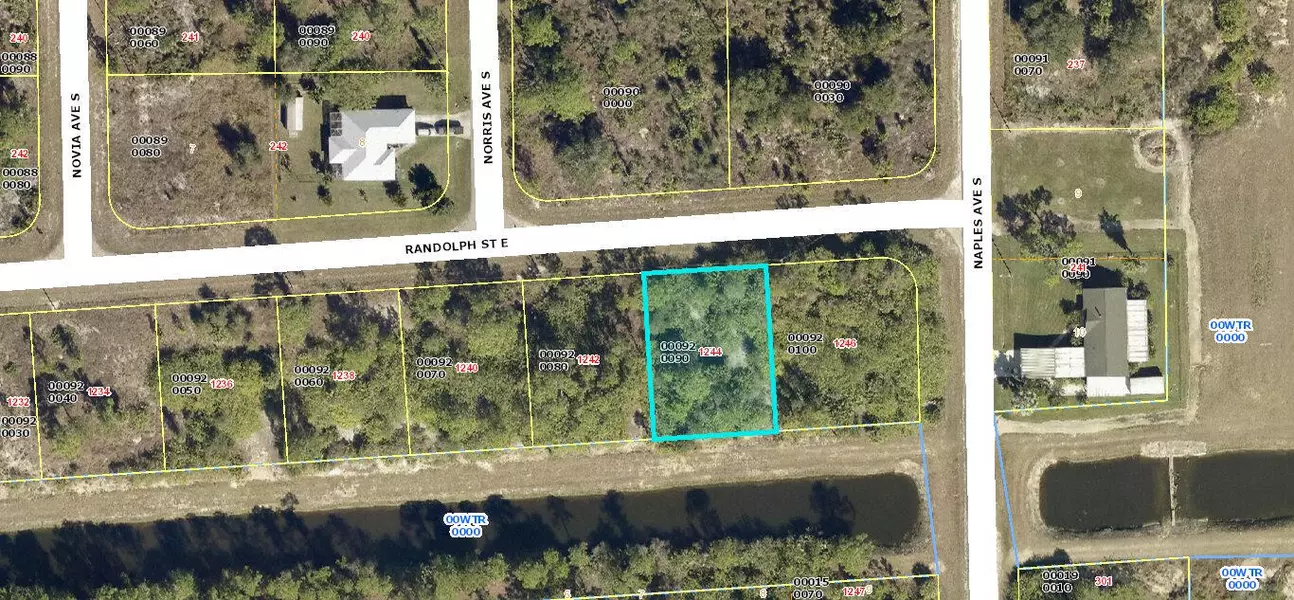 1244 Randolph ST, Lehigh Acres, FL 33974