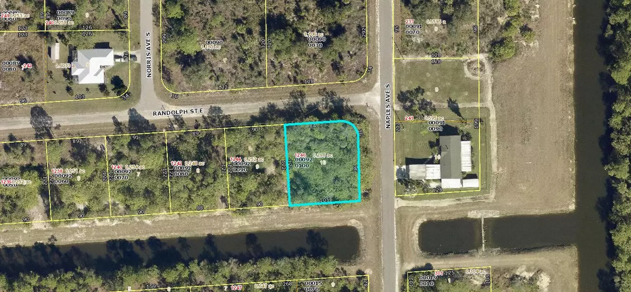 1246 E Randolph ST, Lehigh Acres, FL 33974