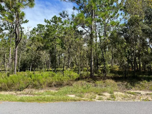 Tbd SE 133rd AVE,  Williston,  FL 32696