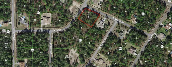 8651 N Iberian DR, Citrus Springs, FL 34433