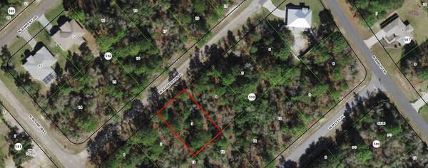 3162 W Barberton PL,  Citrus Springs,  FL 34433