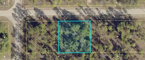 Lehigh Acres, FL 33972,2702 E 14th ST