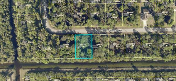 920 E Alcalde ST, Lehigh Acres, FL 33974