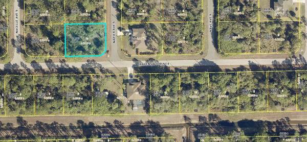 Lehigh Acres, FL 33974,136 S Napier AVE