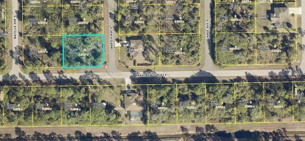 Lehigh Acres, FL 33974,136 S Napier AVE