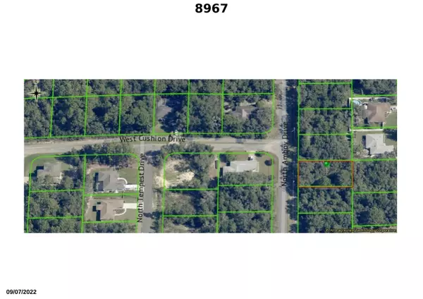 Citrus Springs, FL 34433,8967 N Amboy DR