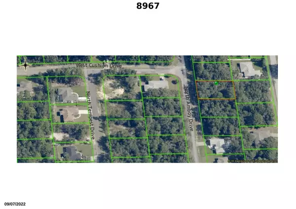 Citrus Springs, FL 34433,8967 N Amboy DR