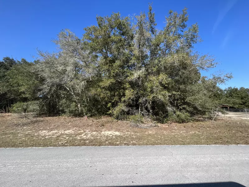 2063 W Chanron PL, Citrus Springs, FL 34434