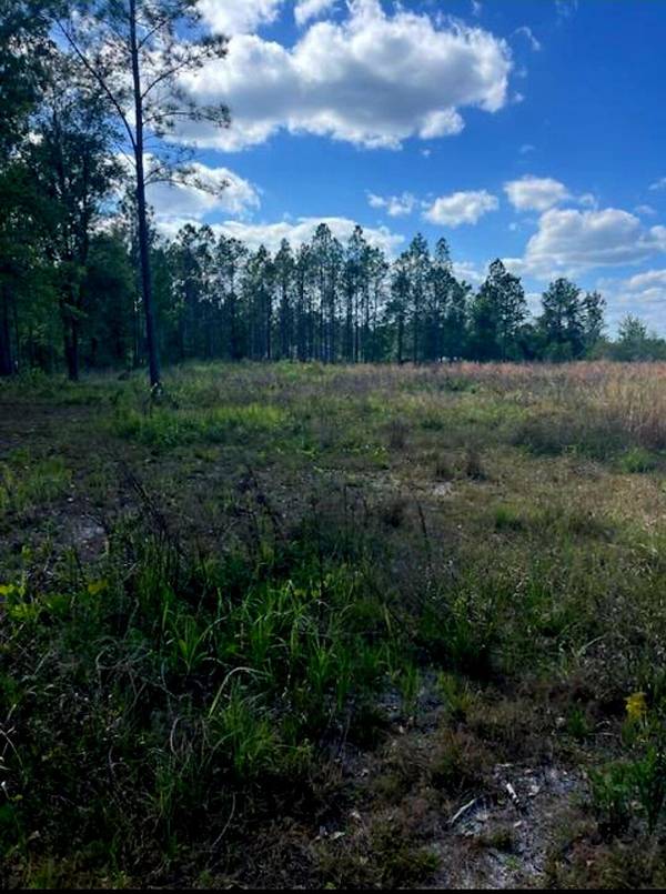 Clermont, FL 34714,1108306 Oil Well RD