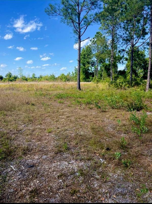 Clermont, FL 34714,1108306 Oil Well RD