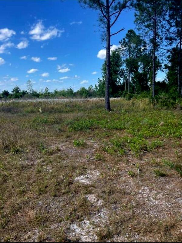 Clermont, FL 34714,1108306 Oil Well RD