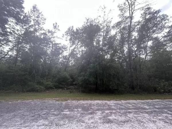 Fort Mccoy, FL 32134,Tbd 247th