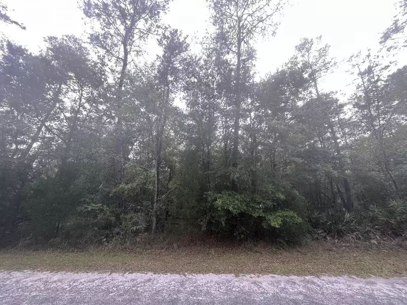 Tbd 247th, Fort Mccoy, FL 32134