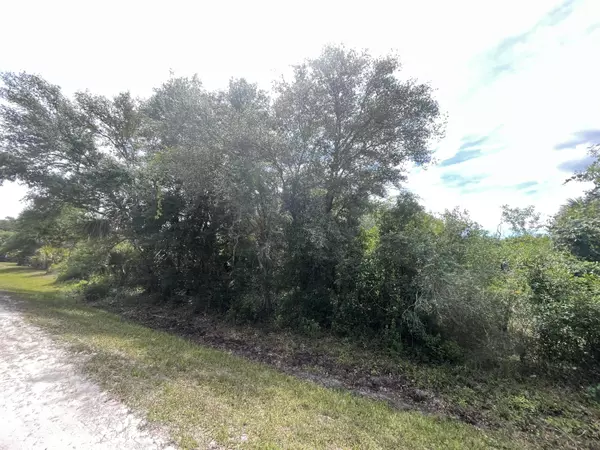 Okeechobee, FL 34972,19414 NW 290th ST