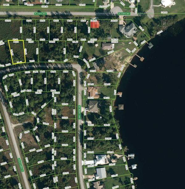 Lake Placid, FL 33852,1002 Lake Carrie DR