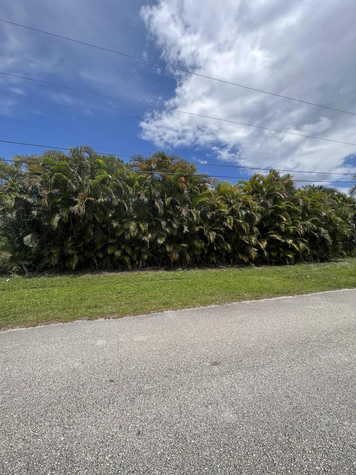 Port Saint Lucie, FL 34953,4517 SW Cacao ST