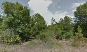 Clewiston, FL 33440,245 S Datil ST