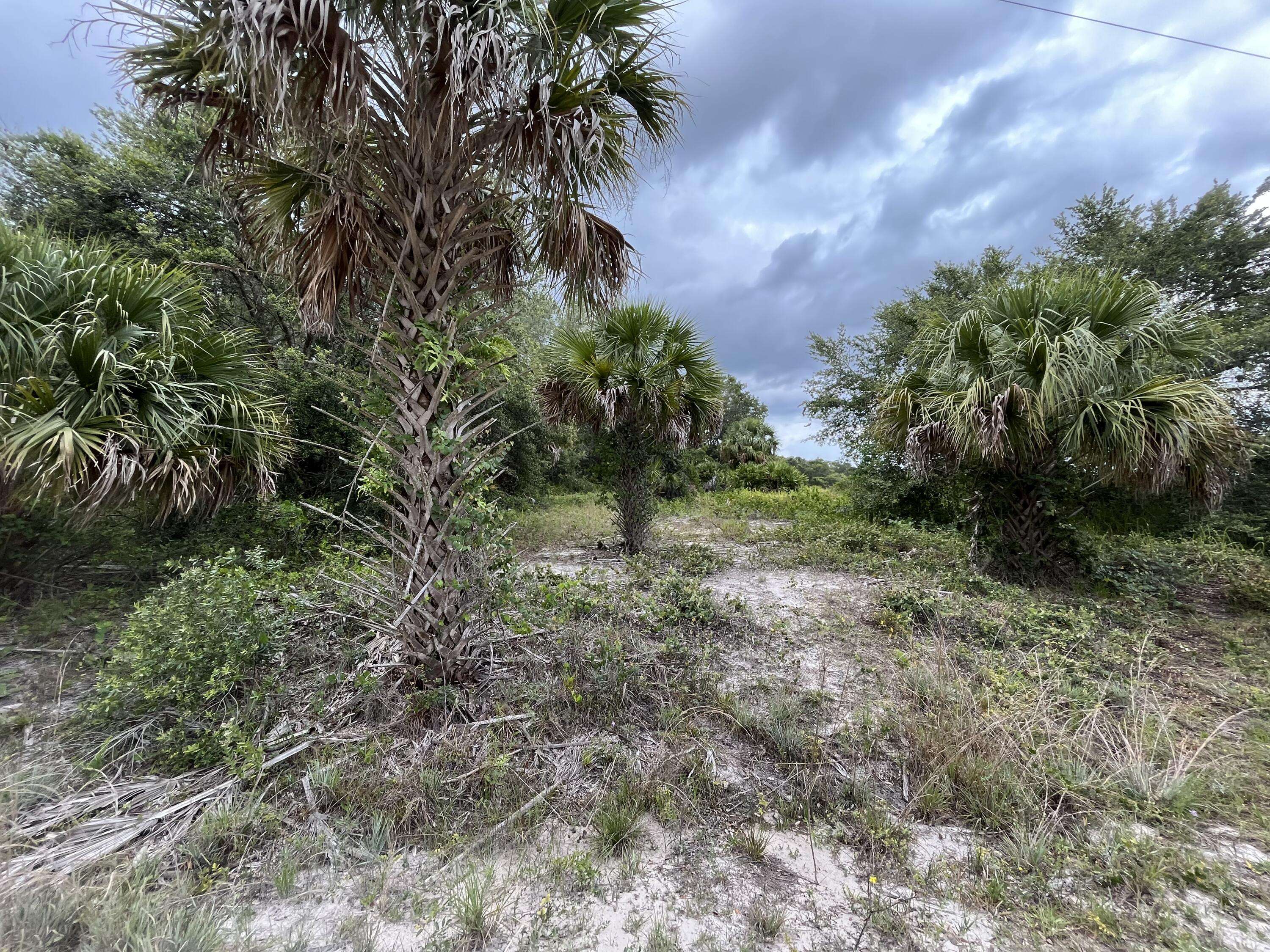 15211 NW 296th ST, Okeechobee, FL 34972