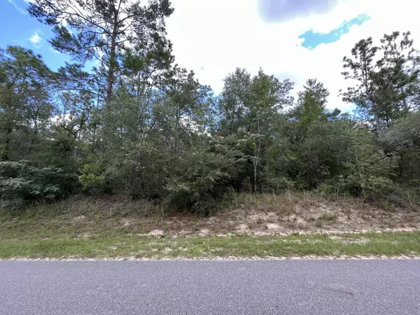 Keystone Heights, FL 32656,7059 Clemson ST