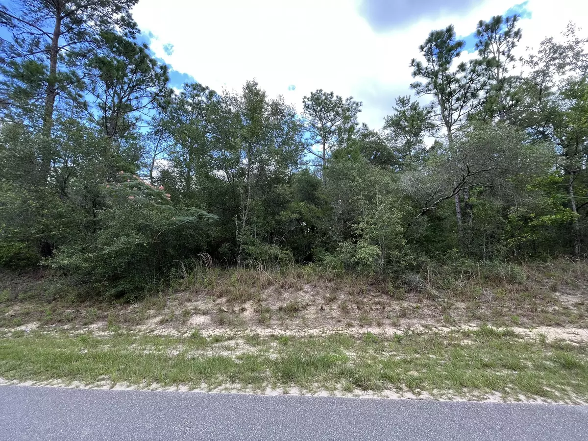 Keystone Heights, FL 32656,7059 Clemson ST