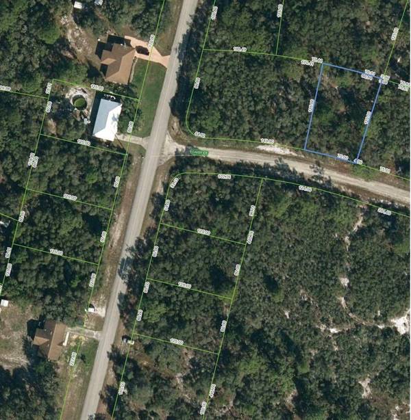 Lake Placid, FL 33852,3165 Daisy CT