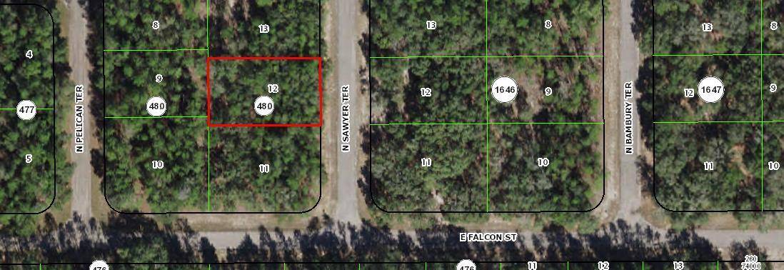 Citrus Springs, FL 34434,8564 N Sawyer TER