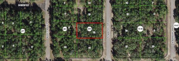 Citrus Springs, FL 34434,8564 N Sawyer TER