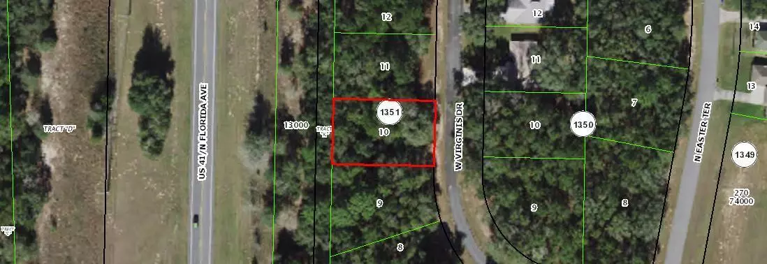 1219 W Virginis DR, Citrus Springs, FL 34434