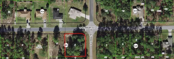 Citrus Springs, FL 34434,1160 W Newbury ST