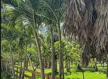 Loxahatchee Groves, FL 33470,15048 W Forest LN