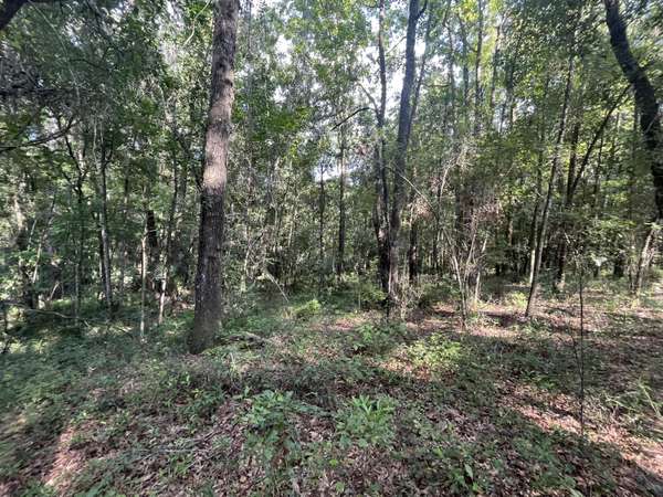 Tbd NW 181st PL, High Springs, FL 32643