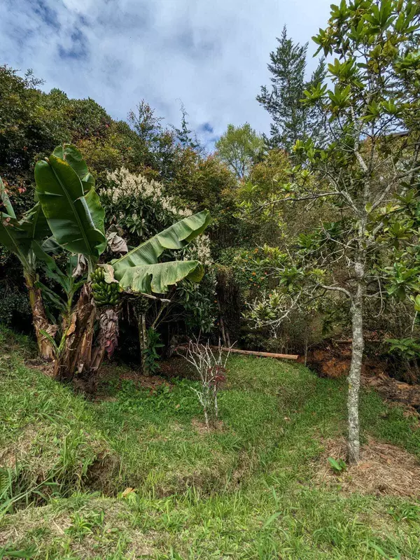 Out Of Country, 00000,Carmen De Viboral, Vereda Santa Ana. Ant 42