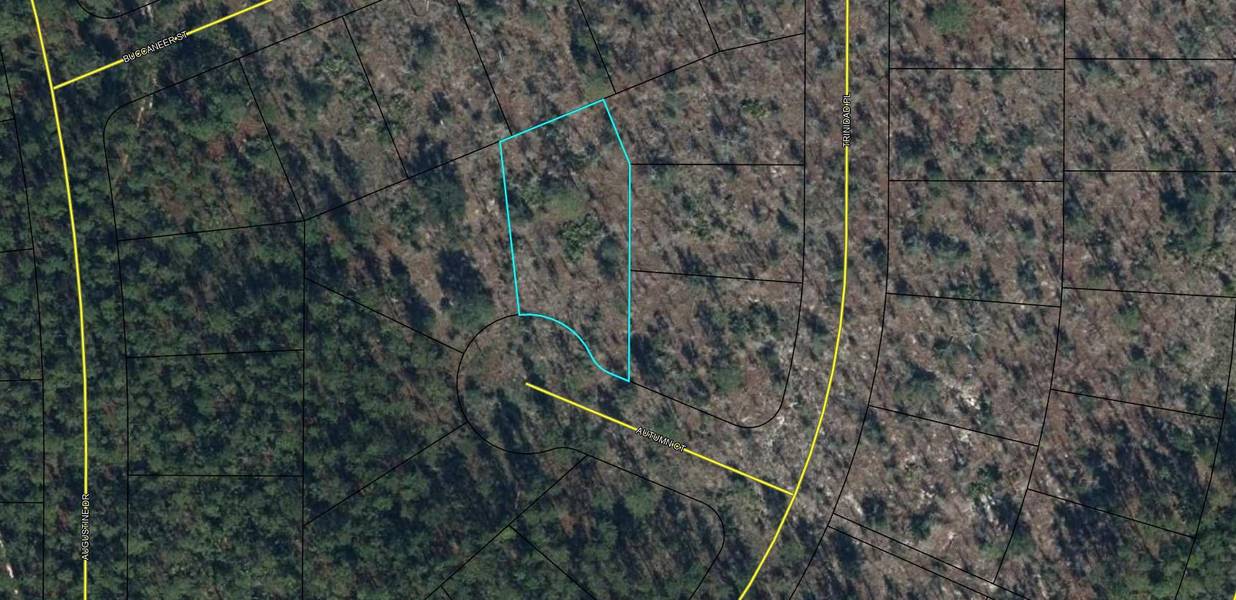 Lot 9 Autumn CT 15, Chipley, FL 32428