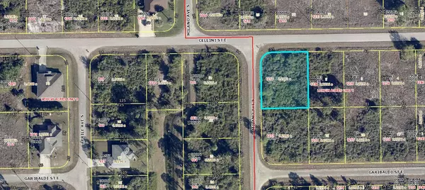 Lehigh Acres, FL 33974,1232 E Cellini ST