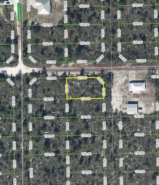 318 Falcon ST, Lake Placid, FL 33852