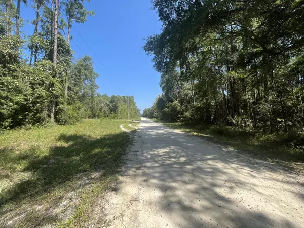 Old Town, FL 32680,Tbd NE 497th ST