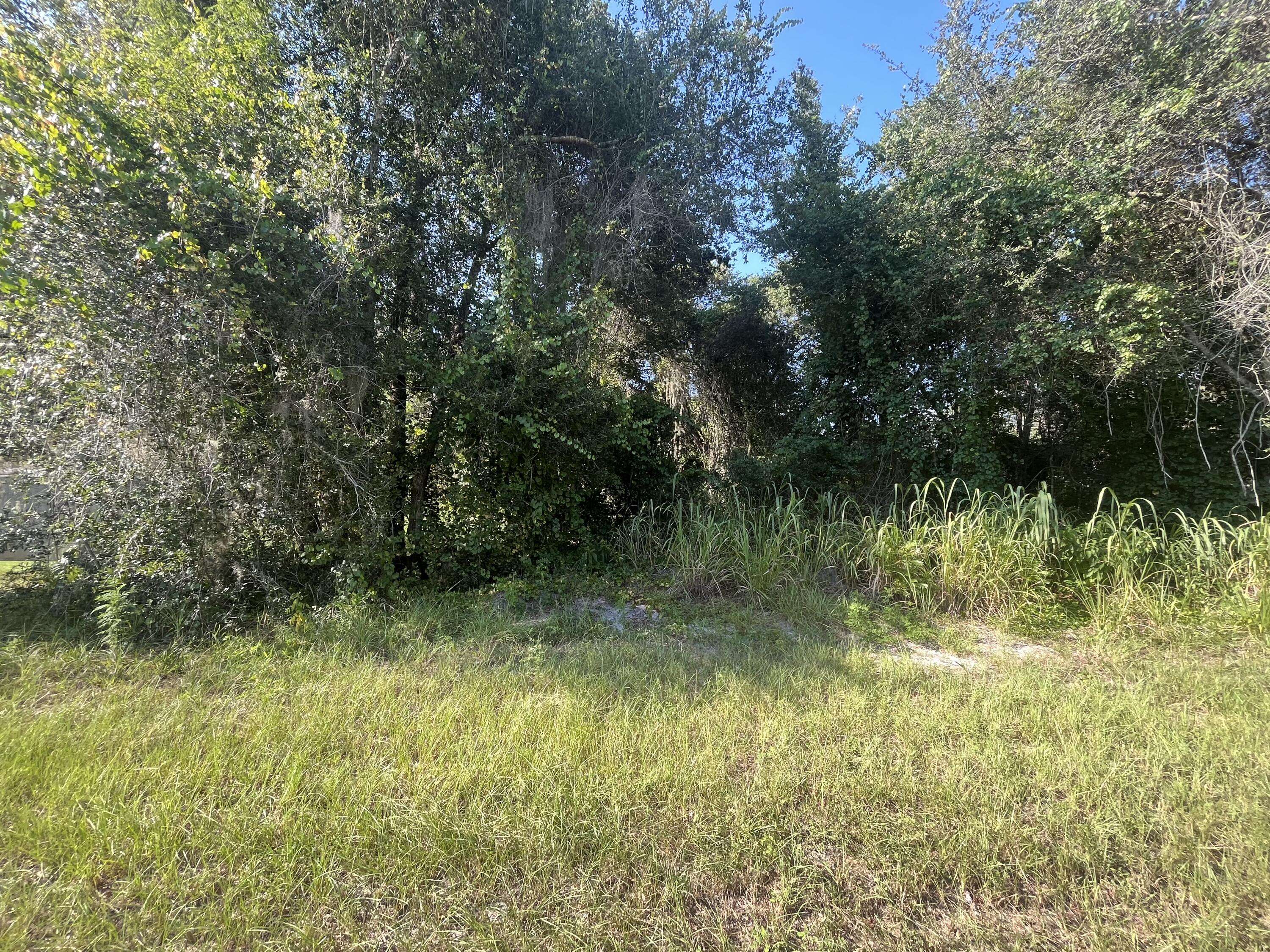 Leesburg, FL 34748,Tbd Willowbrook LN