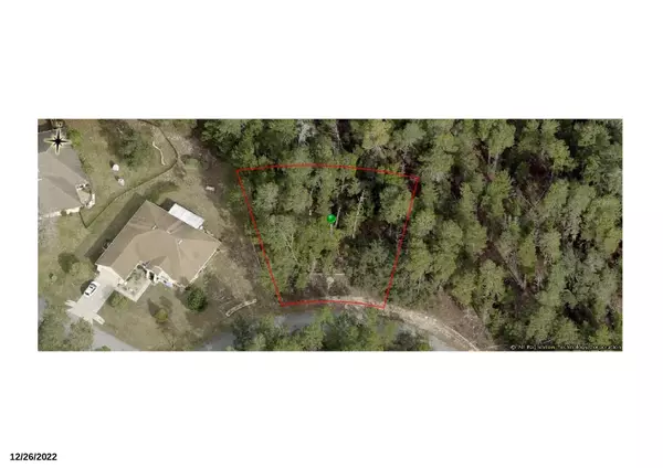 6 Scabiosa CT, Homosassa, FL 34446