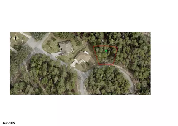 Homosassa, FL 34446,6 Scabiosa CT