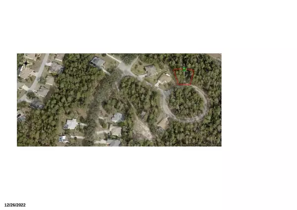 Homosassa, FL 34446,6 Scabiosa CT