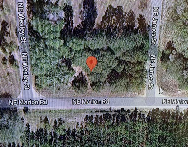 0 NE Marion RD, Mayo, FL 32066