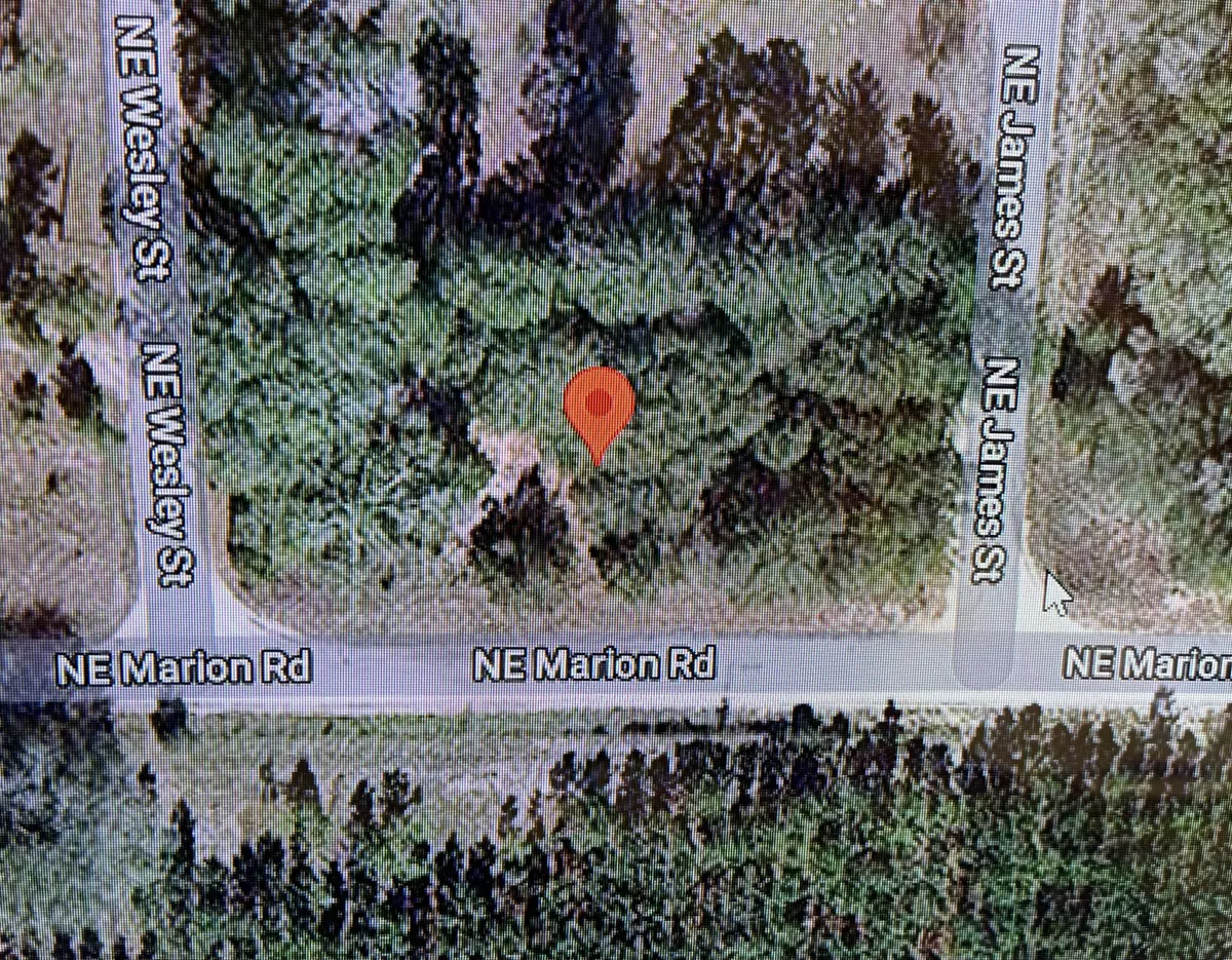 Mayo, FL 32066,0 NE Marion RD