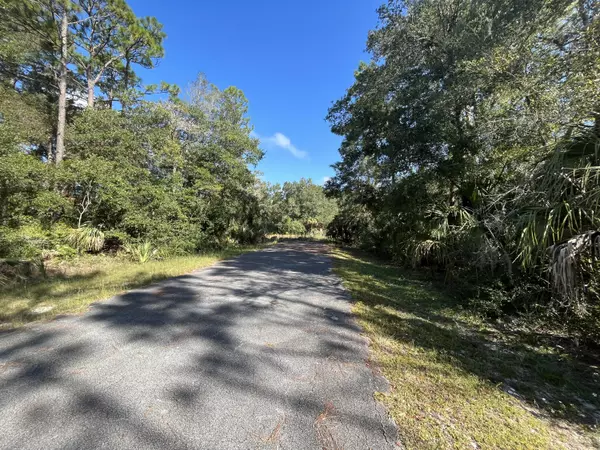 Crystal River, FL 34428,9963 N Ferncliff PT