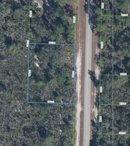 1114 Western BLVD, Lake Placid, FL 33852