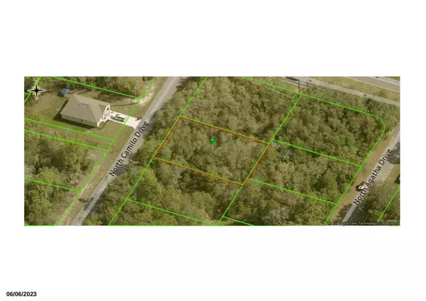 2906 W Camilo DR, Citrus Springs, FL 34434