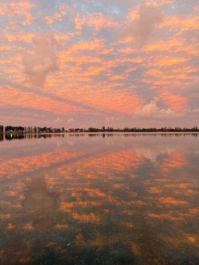 Oakland Park, FL 33309,115 Lake Emerald DR 102