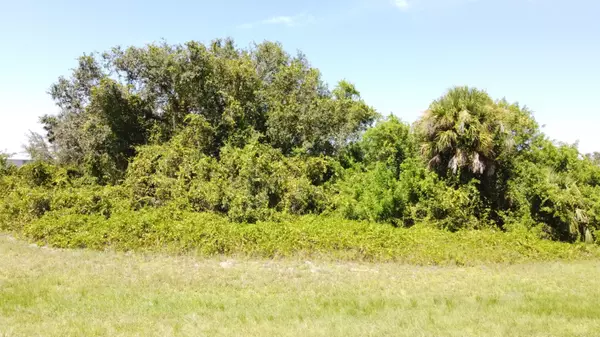 Labelle, FL 33935,3014 Cherry LN