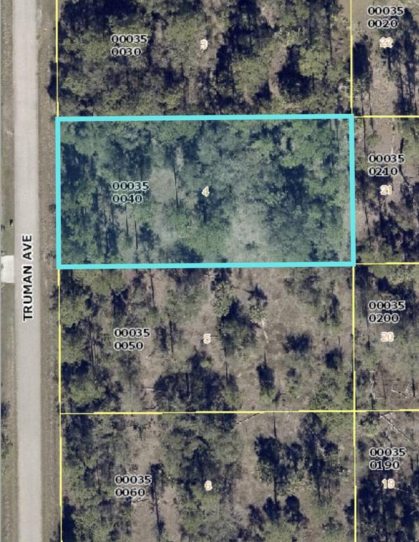 Lehigh Acres, FL 33972,1416 Truman AVE