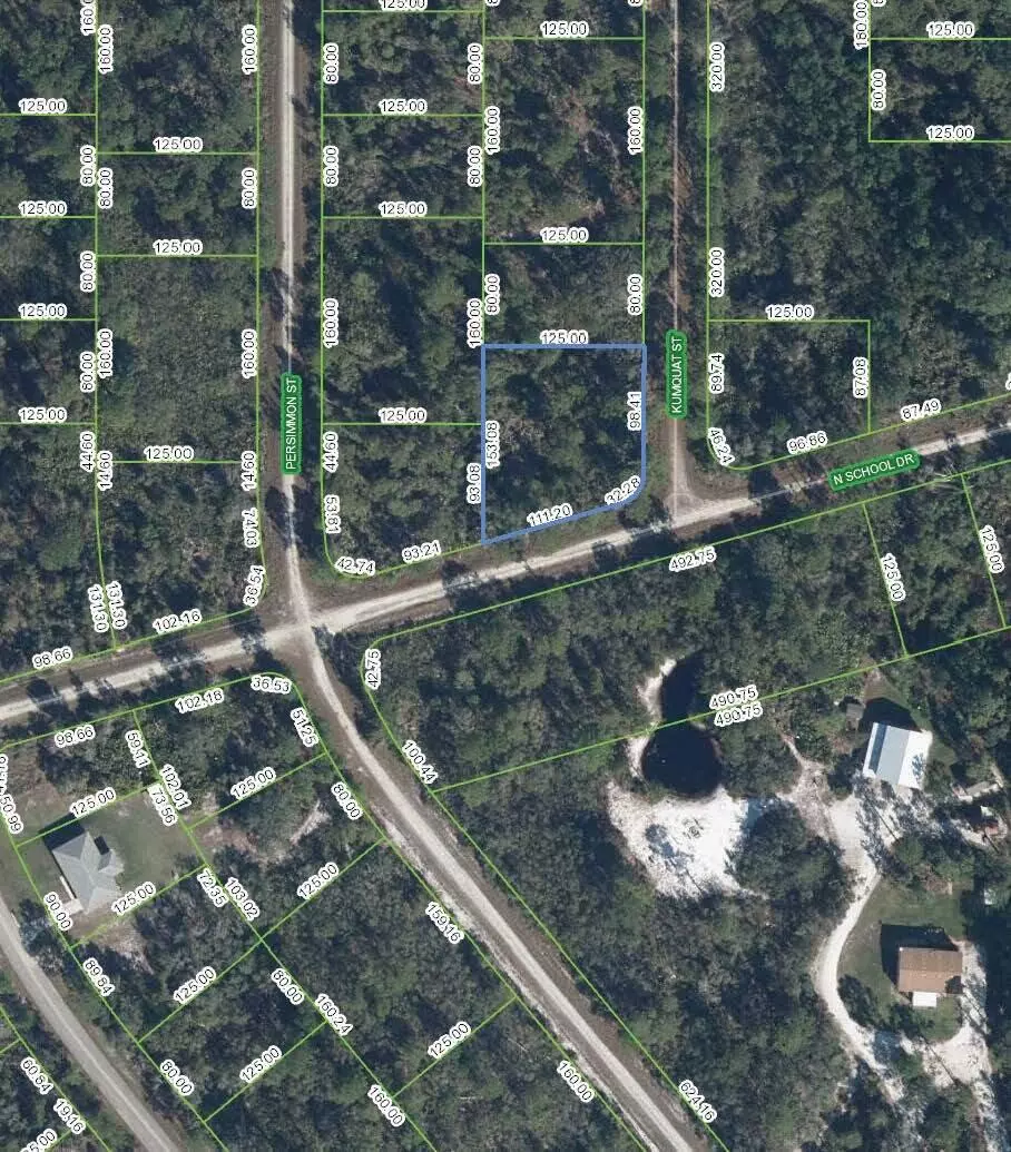 Lake Placid, FL 33852,1244 Kumquat ST