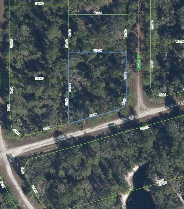 Lake Placid, FL 33852,1244 Kumquat ST